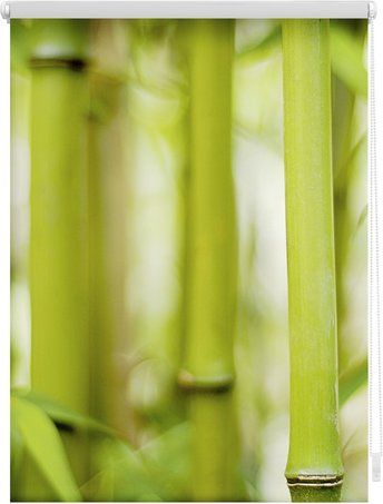 Lichtblick Rollo, Klemmfix, 80x150 cm, Bambus, grün - gruen