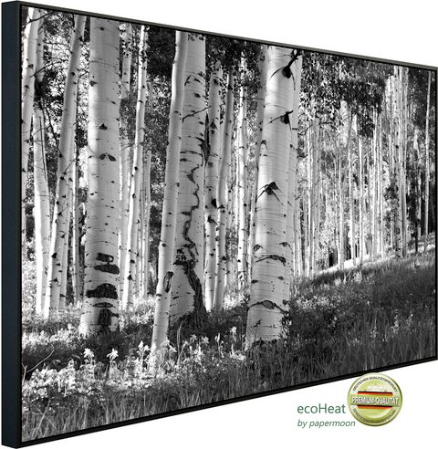 Thumbnail - papermoon Infrarotheizung »EcoHeat - Birkenwald Schwarz + Weiss«, Matt-Effekt - bunt