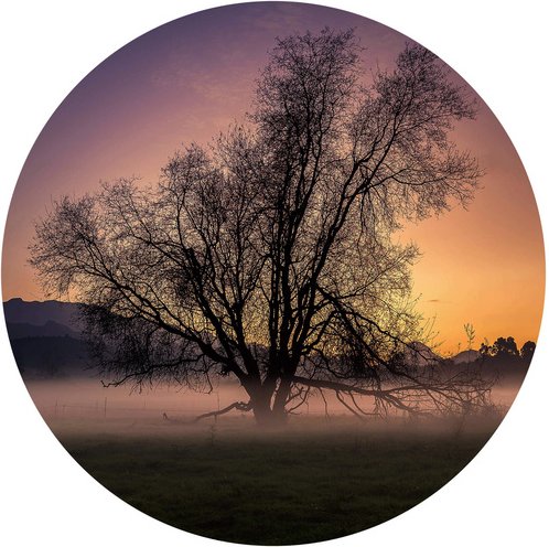 K&L Wall Art Vliestapete »Runde Vliestapete«, Cuadrado Nebel Baum des Lebens, mehrfarbig, matt - bunt