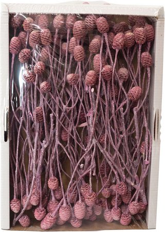 Flowerbox Trockenblumen - blau | rosa