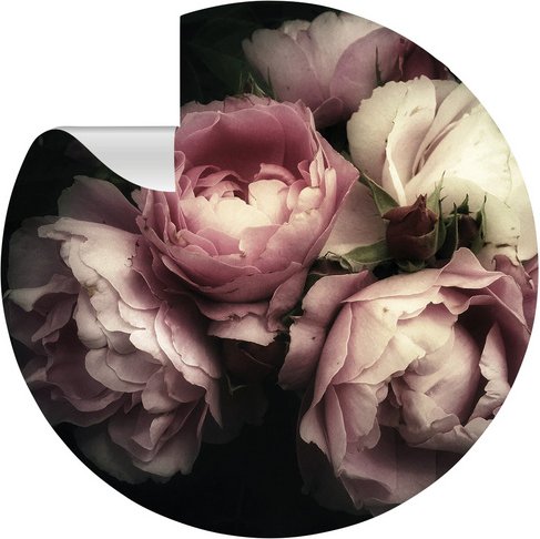mySPOTTI Vliestapete »Rosa«, Blumenmuster, rosa/schwarz, matt