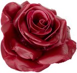 Thumbnail - Flowerbox Wachsrose 12er-Set - rot
