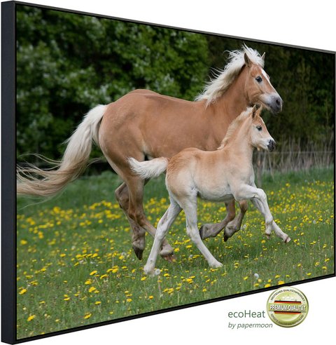 papermoon Infrarotheizung »EcoHeat - Pferde«, Matt-Effekt - bunt