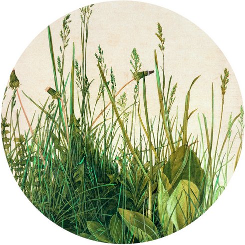 K&L Wall Art Vliestapete »Runde Vliestapete«, Dürer Löwenzahn Vintage Wiese, mehrfarbig, matt - bunt