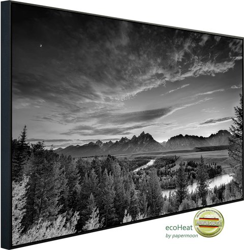 Thumbnail - papermoon Infrarotheizung »EcoHeat - Landschaft Schwarz + Weiss«, Matt-Effekt - bunt