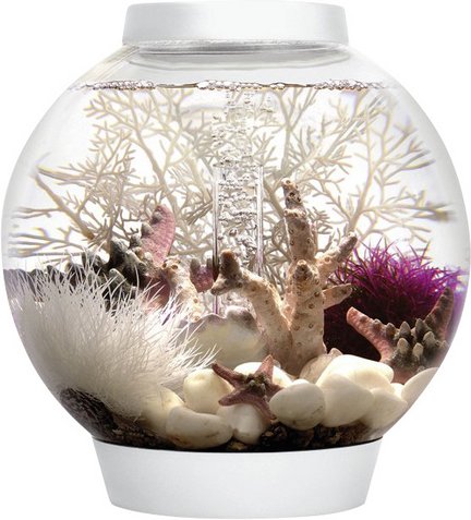 OASE Tabletop Aquarien »biOrb CLASSIC«, mit LED Beleuchtung, 15 l, weiss