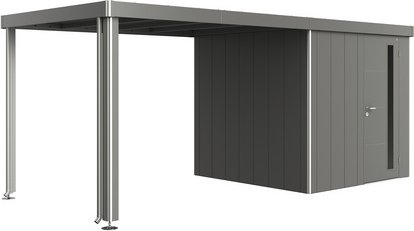 BIOHORT Seitendach »Neo«, BxL: 3000 x 2350 mm, Metall - grau