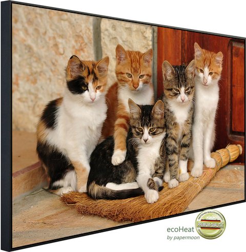 papermoon Infrarotheizung »EcoHeat - Süsse katzen«, Matt-Effekt - bunt
