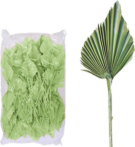 Flowerbox Trockenblumen - blau | gruen