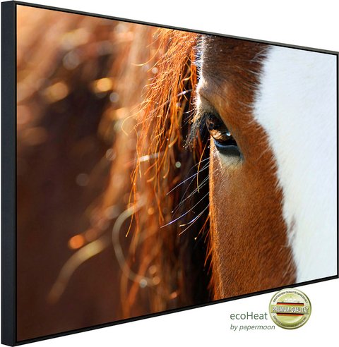 Thumbnail - papermoon Infrarotheizung »EcoHeat - Nahaufnahme Pferdeauge«, Matt-Effekt - bunt