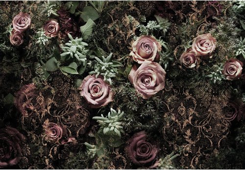 KOMAR Papiertapete »Velvet«, Breite: 368 cm, inkl. Kleister - bunt