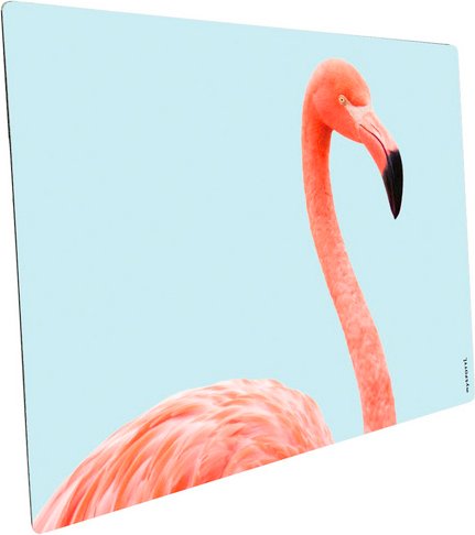 mySPOTTI Mini-Spritzschutz »Flamingo aque«, Aluverbund, Flamingo