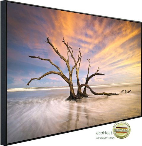 Thumbnail - papermoon Infrarotheizung »EcoHeat - Torheit Strand toter Baum«, Matt-Effekt - bunt