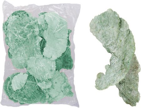 Flowerbox Baumschwamm - blau | gruen