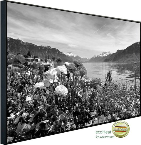 papermoon Infrarotheizung »EcoHeat - Landschaft Schwarz + Weiss«, Matt-Effekt - bunt