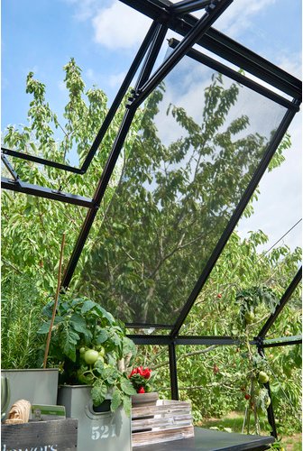 HALLS Rollo, BxL: 60 x 200 cm, für alle Halls Gewächshäuser - schwarz