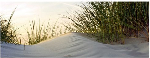 mySPOTTI Badrückwand »Dune«, BxH:120 cm x 45 cm, beige