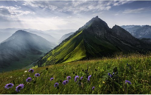 KOMAR Vliestapete »The Green Queen«, Breite 450 cm, seidenmatt - bunt