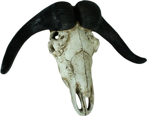 DEKO PLEASURE Geweih, Büffel, Polyresin - bunt