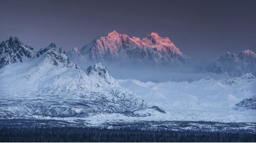 KOMAR Vliestapete »Thrones«, Breite 500 cm, seidenmatt - bunt