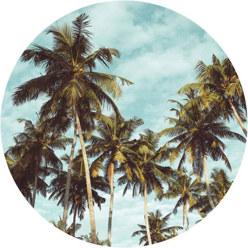 K&L Wall Art Vliestapete »Runde Vliestapete«, Florida Palmen Miami Retro, mehrfarbig, matt - bunt