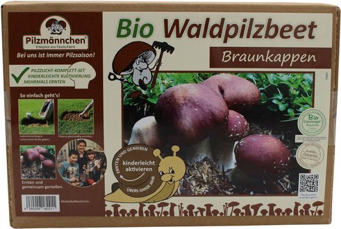 PILZMÄNNCHEN Bio Waldpilzbeet Braunkappe, für den Garten