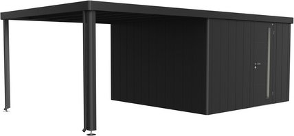 BIOHORT Seitendach »Neo«, BxL: 3000 x 3470 mm, Metall - grau