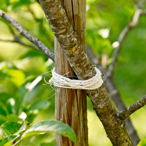 WINDHAGER Bindemittel, Garten-Kordel , 150 m x 2,5 mm, weiss