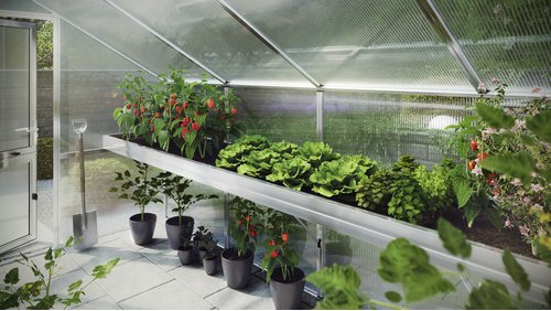 KGT Pflanzwanne »Orchidee III«, BxHxt: 323 x 10 x 63,5 cm, Aluminium - weiss