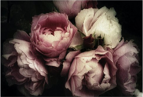 mySPOTTI Tischset »Rosa«, rechteckig, Kunstleder, rosa/schwarz