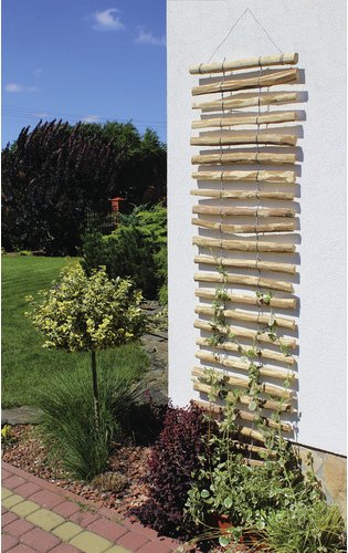 DOBAR Rankhilfe, BxH: 50 x 200 cm, Haselnussholz - braun