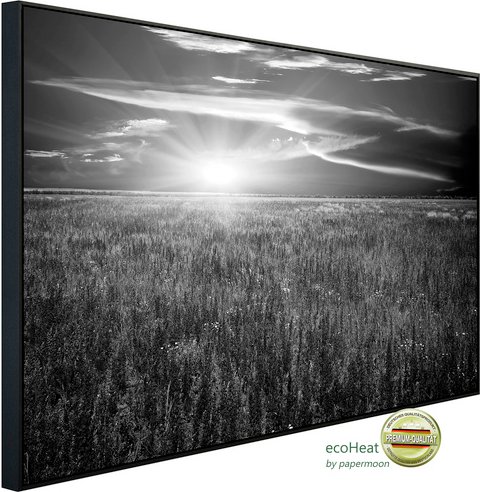 Thumbnail - papermoon Infrarotheizung »EcoHeat - Landschaft Schwarz + Weiss«, Matt-Effekt - bunt