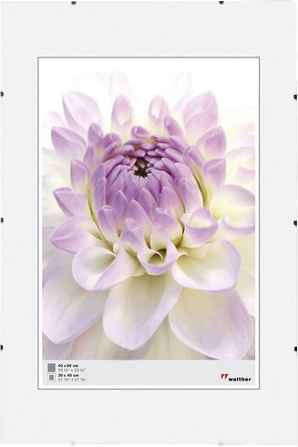 Walther Design Bilderrahmen, BxL: 50 x 60 cm, Glas