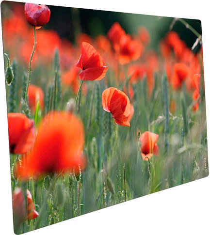mySPOTTI Mini-Spritzschutz »Mohn«, Aluverbund, Mohnfeld