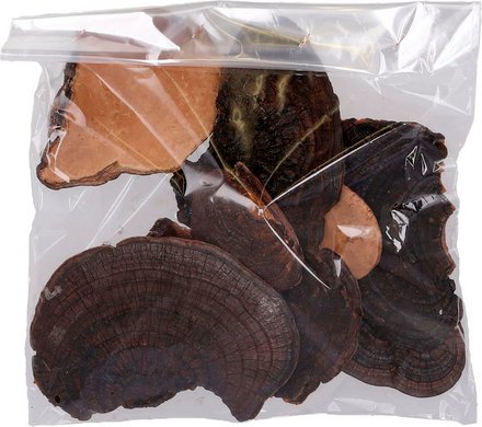 Flowerbox Baumschwamm - braun