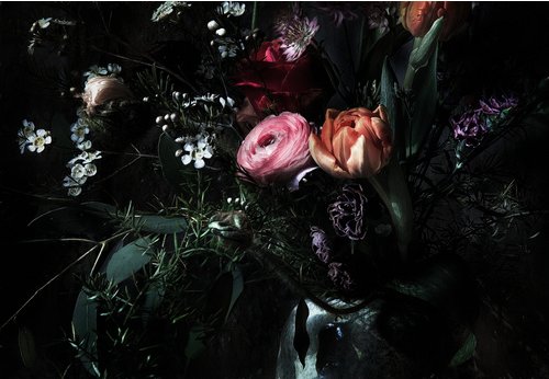 KOMAR Papiertapete »Still Life«, Breite: 368 cm, inkl. Kleister - bunt