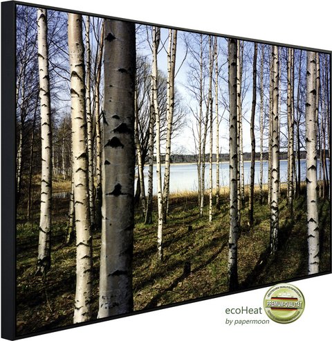 Thumbnail - papermoon Infrarotheizung »EcoHeat - Finnischer Birkenwald«, Matt-Effekt - bunt