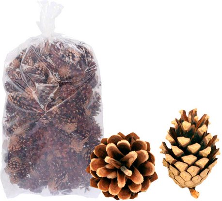 Flowerbox Waldkiefer - beige