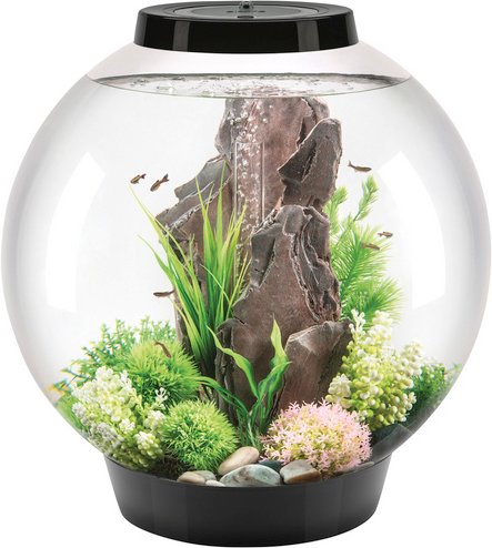 OASE biOrb CLASSIC 60 LED schwarz