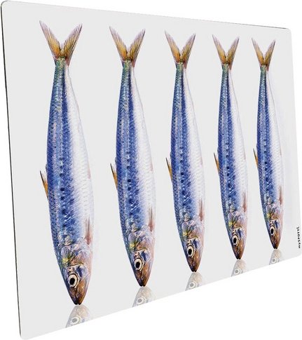 mySPOTTI Mini-Spritzschutz »Fische«, Aluverbund, Fische