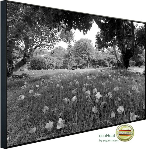 Thumbnail - papermoon Infrarotheizung »EcoHeat - Landschaft Schwarz + Weiss«, Matt-Effekt - bunt