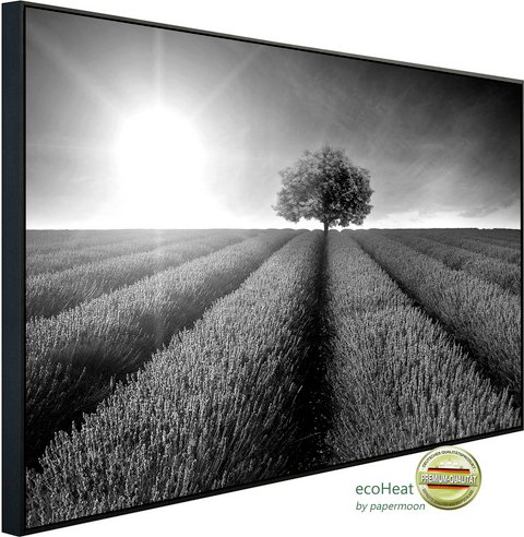 Thumbnail - papermoon Infrarotheizung »EcoHeat - Landschaft schwarz + weiss«, Matt-Effekt - bunt