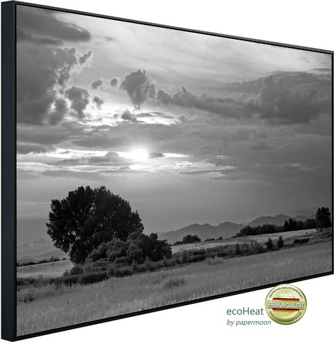 Thumbnail - papermoon Infrarotheizung »EcoHeat - Landschaft Schwarz + Weiss«, Matt-Effekt - bunt