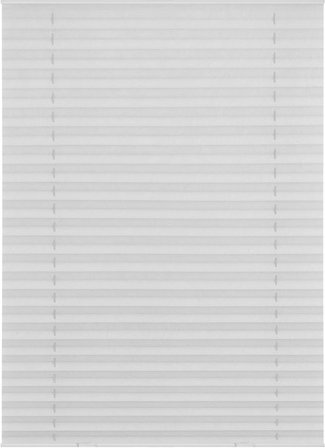 Lichtblick Plissee, Dachfenster, Haftfix, B x L: 47,3 x 100 cm, weiß - weiss