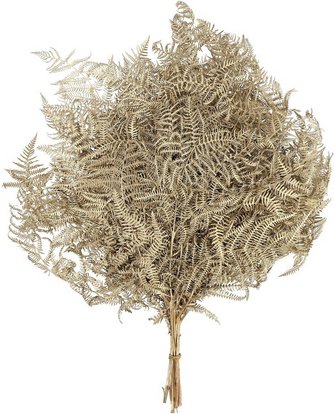 Flowerbox Trockenblumen - goldfarben