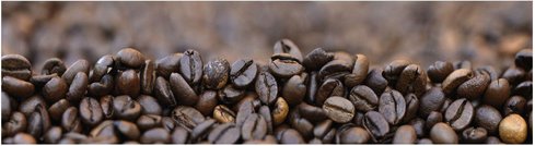 mySPOTTI Küchenrückwand »Kaffeebohnen«, Aluverbund, Kaffee