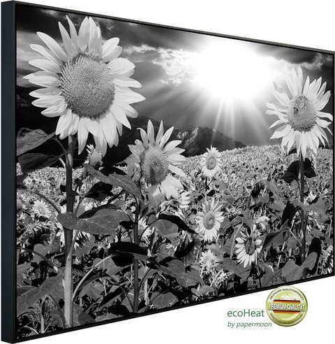 Thumbnail - papermoon Infrarotheizung »EcoHeat - Pusteblume Schwarz + Weiss«, Matt-Effekt - bunt