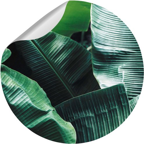 mySPOTTI Vliestapete »Bayu«, Blattmuster, grün/weiß, matt - gruen