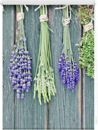 Lichtblick Rollo, Klemmfix, 45x150 cm, Kräuter, petrol - blau