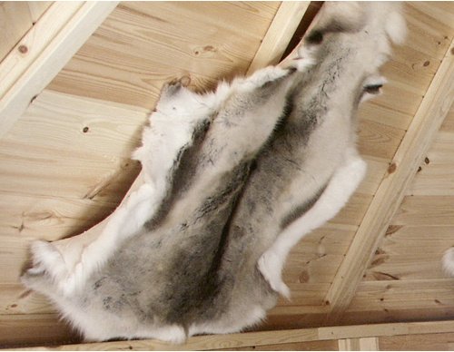 WOLFF Rentierfell, Holz - beige